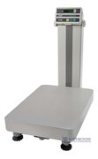 Весы товарные CAS ND-300E (300кг; 50/100гр; 456*645) FVD