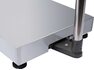 Весы товарные СКЕЙЛ СКЕ-500-6080-RS