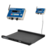 Весы платформенные Масса 4D-LM-10/10-2000-AB(RUEW)